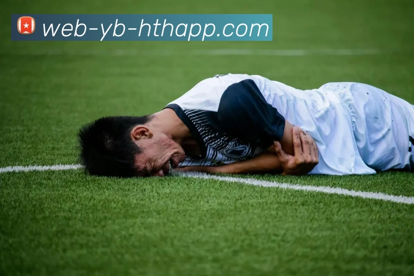 华体会体育服务体系